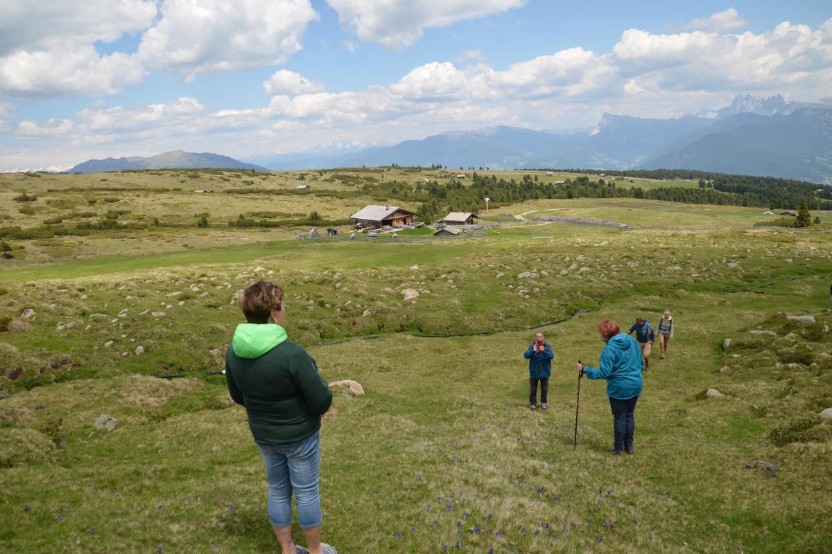 Platzer Alm 15.06.2023